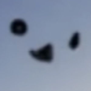 Meet your Posher, Really cool bird